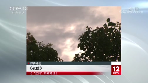 第一集 《生死一线》_cctv节目官网-cctv-12_央视网(cctv.com)