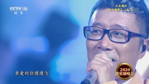 [精彩音乐汇]歌曲《两只蝴蝶》 演唱:庞龙