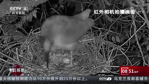 今日环球 年6月22日天气预报