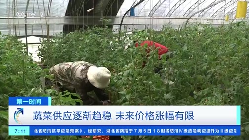第一时间 振翅难飞 航空业 破产潮 来袭 Cctv节目官网 Cctv 2 央视网 Cctv Com