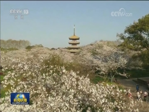 国务院联防联控机制联络组协调有关部门合力推动中央支持湖北一揽子政策落实落地