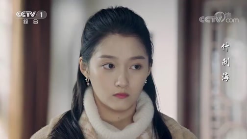 《什刹海》金颜来看望凤儿 替庄志斌向她赔礼道歉