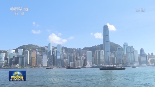 国际人士：香港推迟立法会选举合理合法