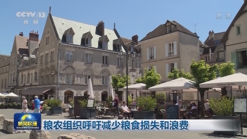 粮农组织呼吁减少粮食损失和浪费