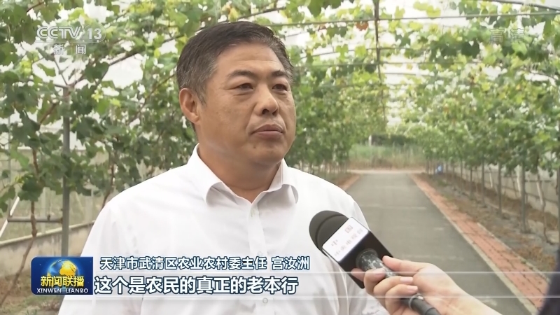 【走向我们的小康生活】天津武清：把农业建设成为有奔头的产业