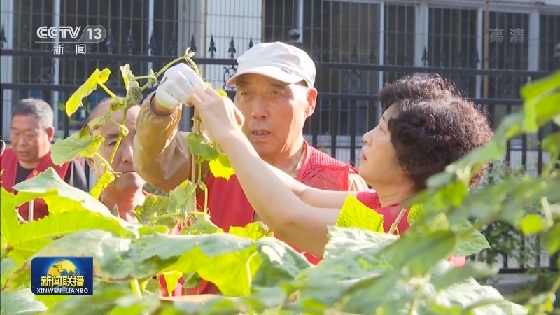 【走向我们的小康生活】天津：共建共享 精准服务百姓需求