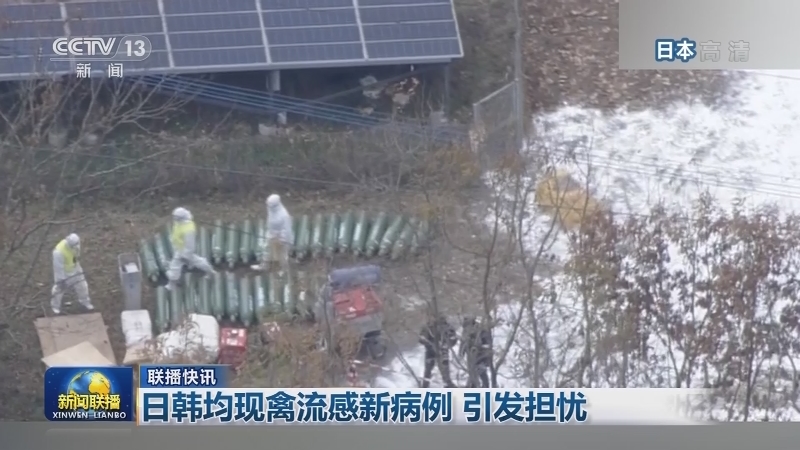 国际联播快讯