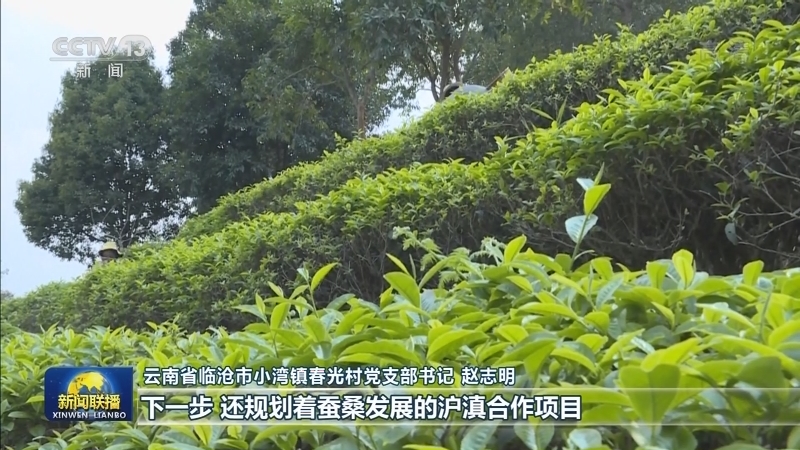 上海广东协作帮扶 云南脱贫攻坚显成效
