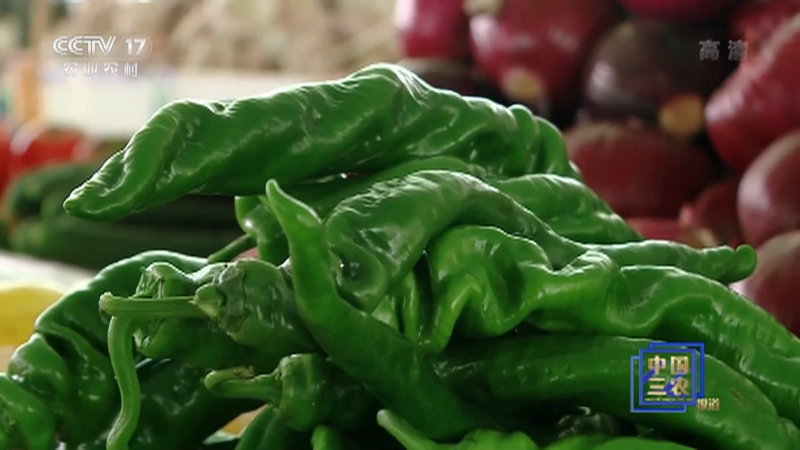 多重因素叠加 广西南宁辣椒价格连涨两个月