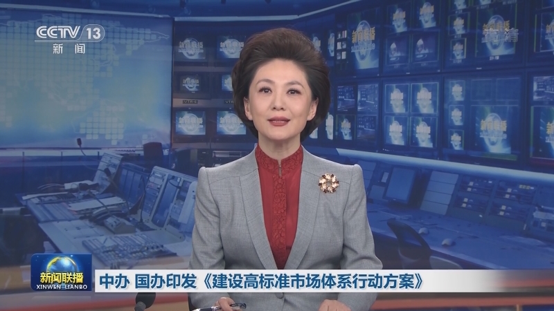 中办 国办印发《建设高标准市场体系行动方案》