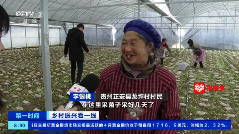 第一时间 大豆市场调查原料成本上涨企业 抢 大豆增库存