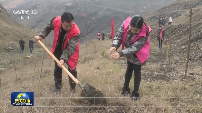 携手添新绿 各地开展义务植树活动