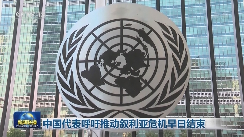 联合国安理会召开叙利亚问题会议