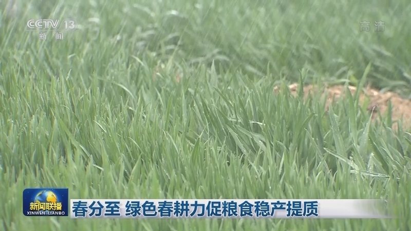 春分至 绿色春耕力促粮食稳产提质