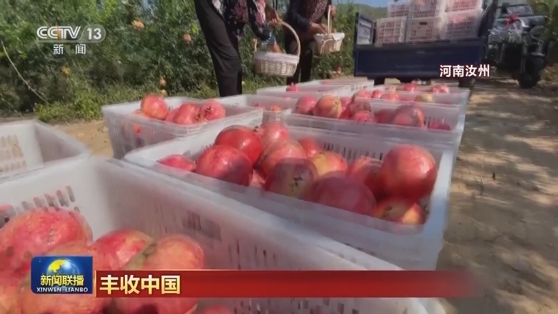 丰收中国