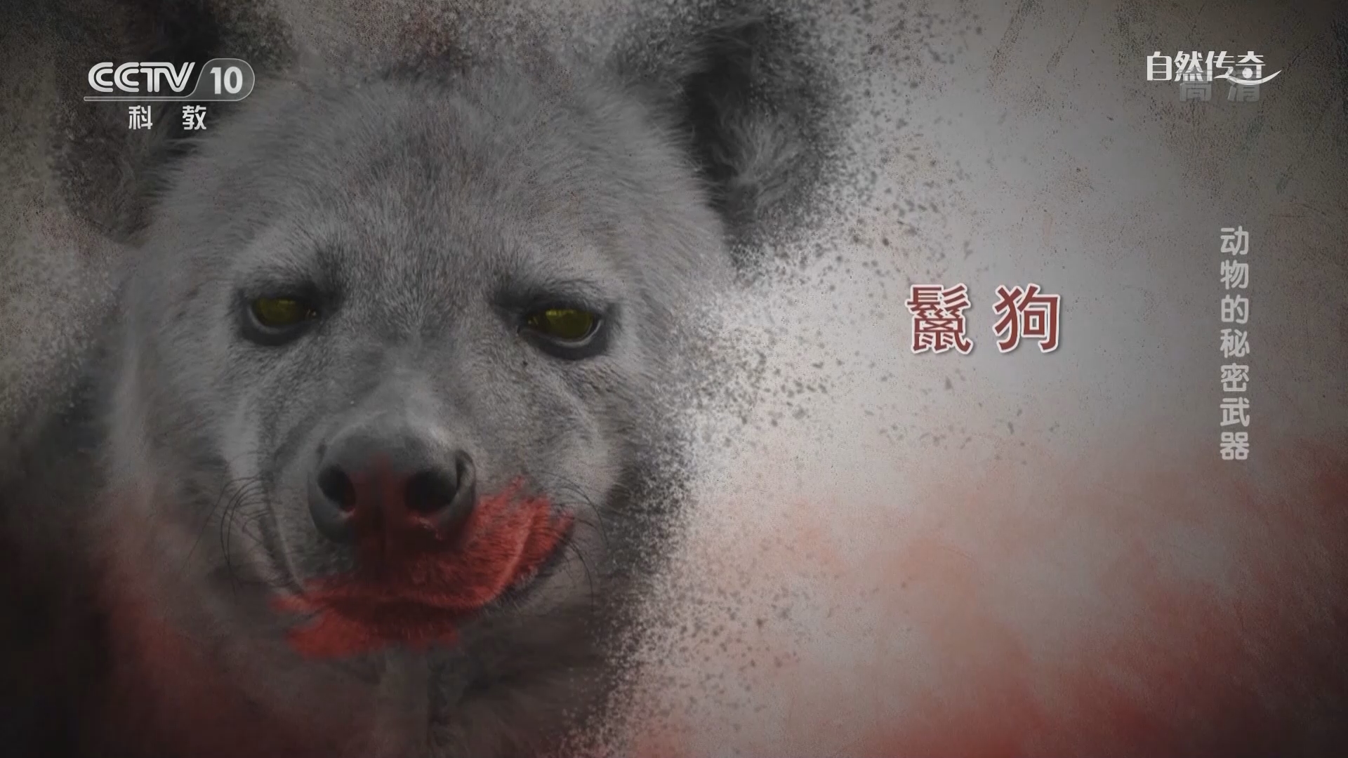 《自然传奇》 20210924 动物的秘密武器