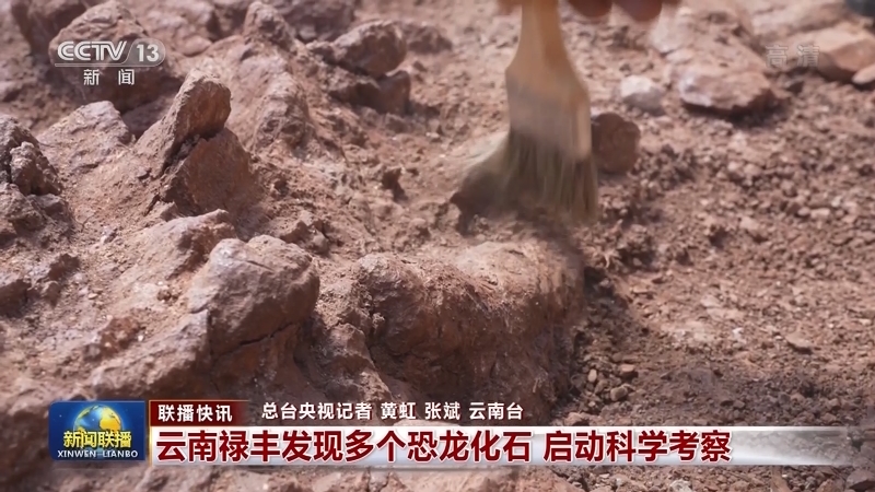 国内联播快讯