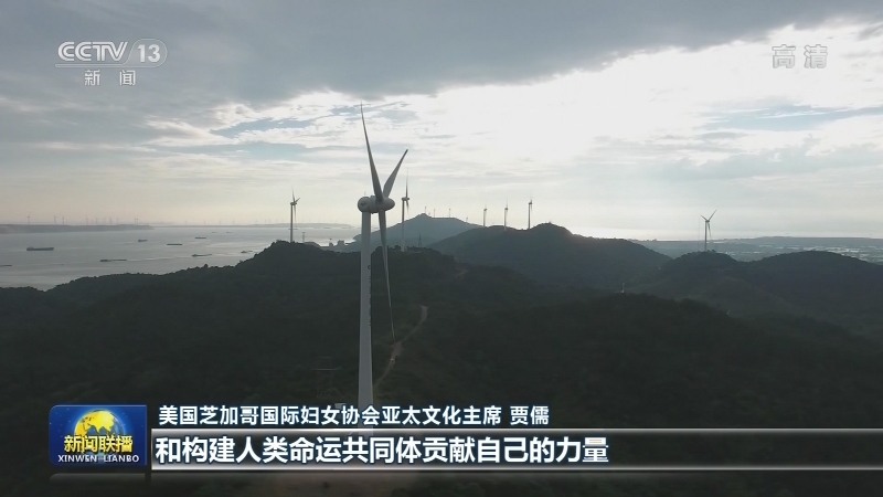华侨华人：为实现中华民族伟大复兴贡献力量