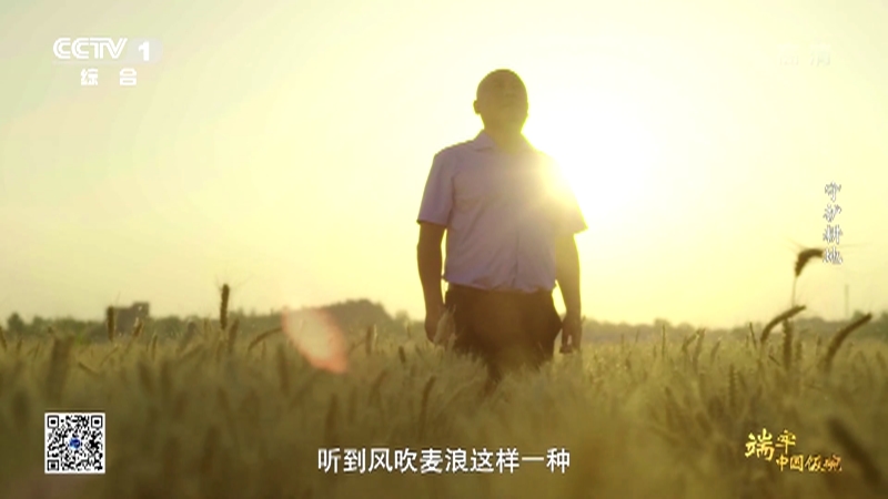 《端牢中国饭碗》 第1集 守护耕地