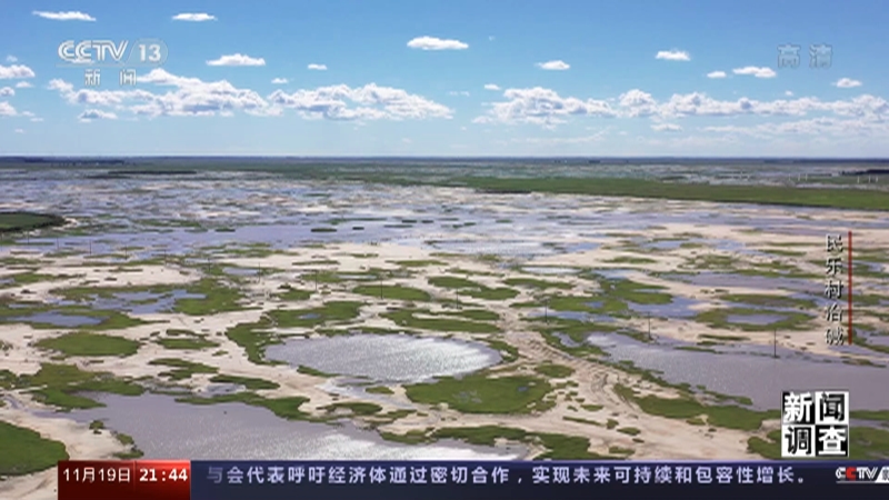 [新闻调查]民乐村治碱