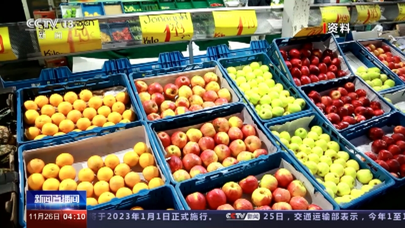 德国消费者信心先行指数跌至近两年低位