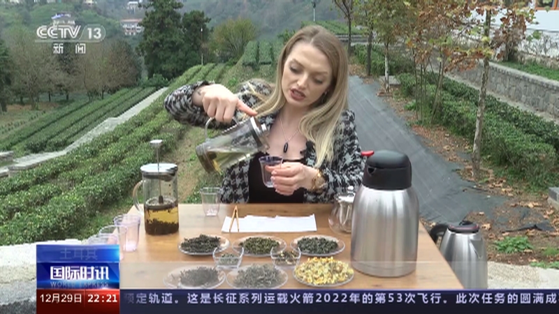 [国际时讯]土耳其 土耳其茶园姑娘学习中国传统制茶技艺