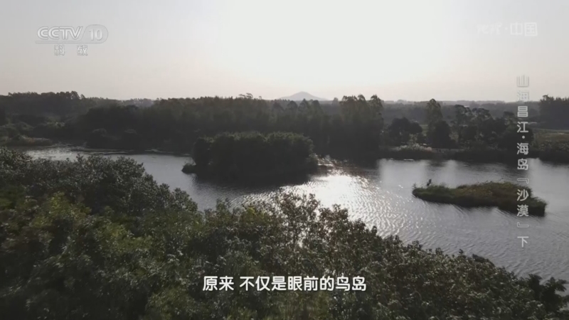 [地理·中国]昌江百姓坚持植树造林改善当地环境