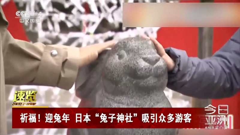 [今日亚洲]速览 祈福！迎兔年 日本“兔子神社”吸引众多游客