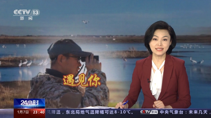 [24小时]遇见你 “身兼多职”湿地护鸟人：潘晟昱