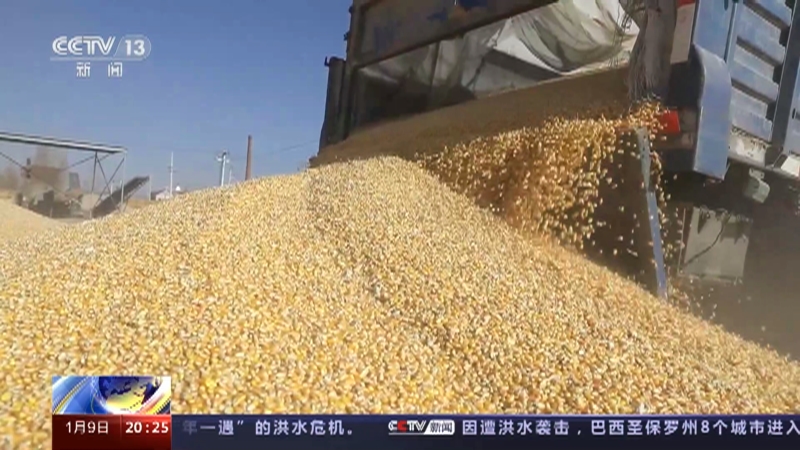 [东方时空]中国经济新活力 2022年我国全年收购粮食8000亿斤