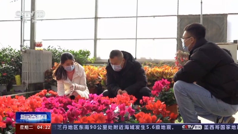 [新闻直播间]山西 春节临近 年味渐浓 花灯走俏迎新春 花卉市场销售火爆