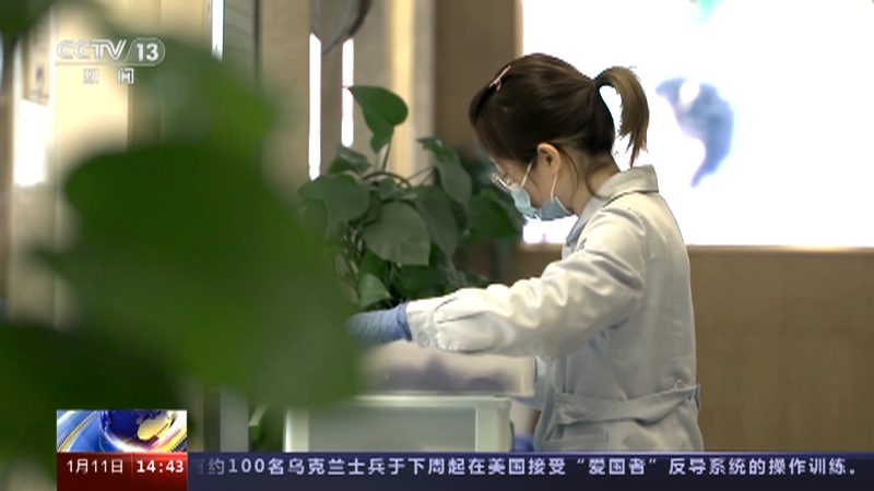 [新闻直播间]口腔种植体集采今天开标 全流程价格调控 有效降低群众负担