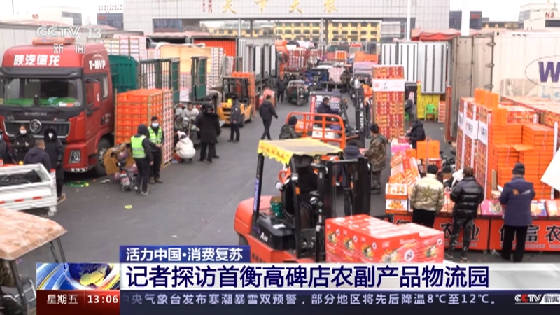 [新闻直播间]活力中国·消费复苏 记者探访首衡高碑店农副产品物流园