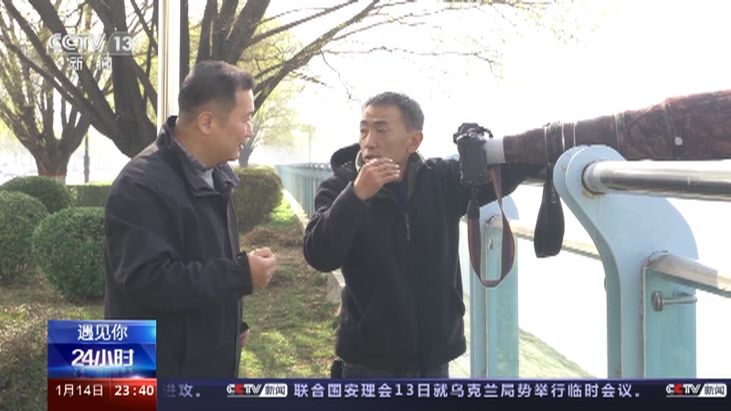 [24小时]遇见你 武晋洲：镜头后的鸟类守护者 十年守护拍摄 让更多人爱鸟护鸟