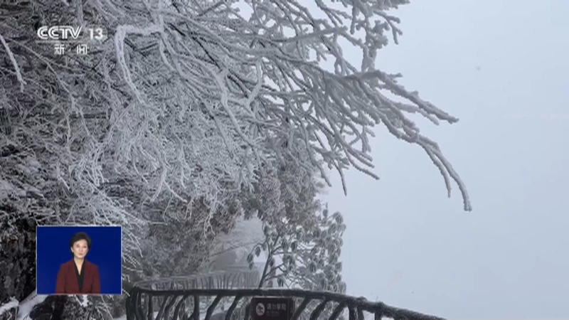 [共同关注]瑞雪迎新年·湖南张家界 新年首场大雪 冰雪美景醉游人