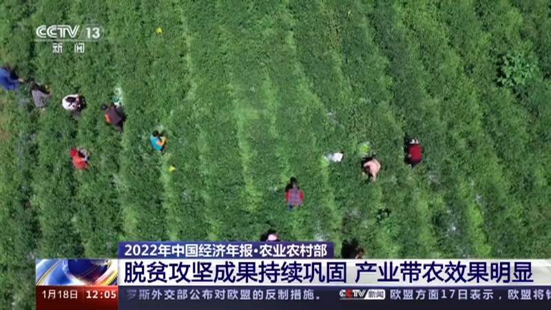 [新闻30分]2022年中国经济年报·农业农村部 去年我国农业农村经济发展超预期