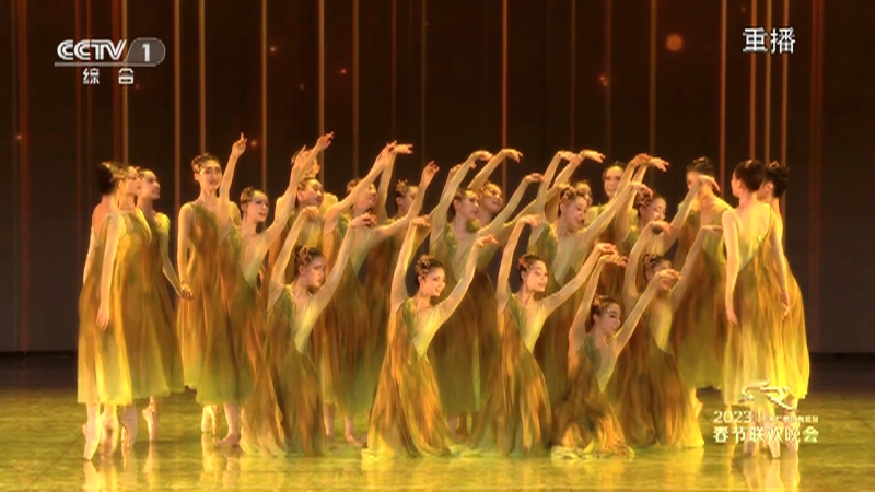 [2023央视春晚]舞蹈《我们的田野》 表演:辽宁芭蕾舞团(字幕版)