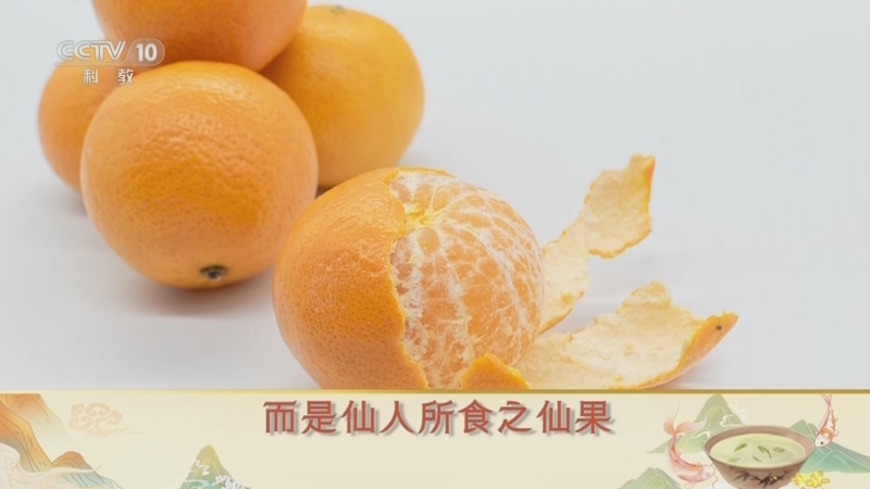 [百家讲坛]舌尖上的历史（第三部） 13 古人的水果 “宝藏”橘子