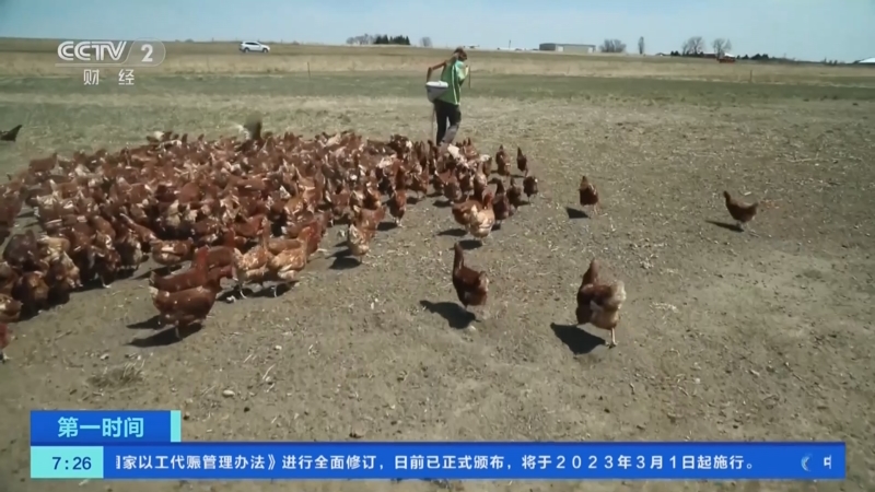 [第一时间]玻利维亚发现两起高致病性禽流感疫情