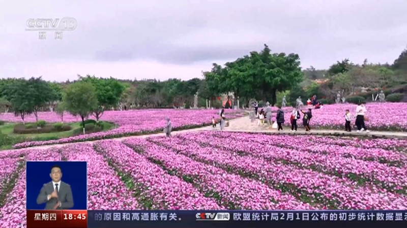 [共同关注]花开中国 春意渐浓