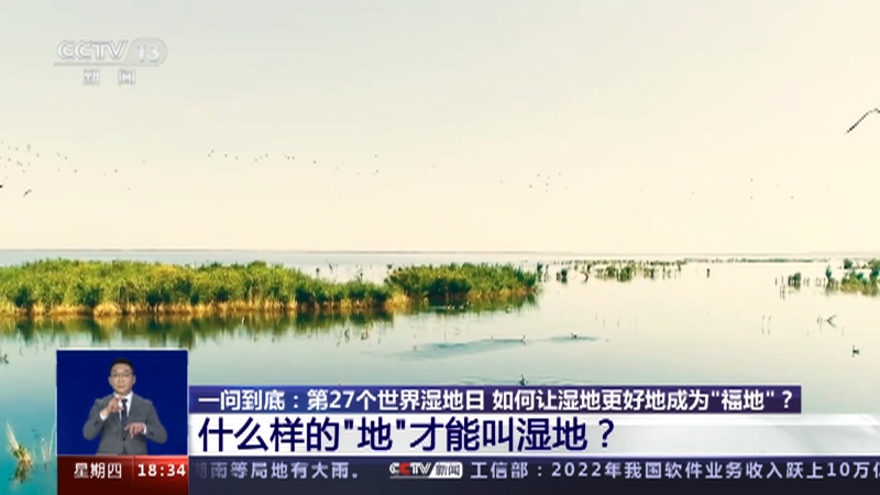 [共同关注]一问到底：第27个世界湿地日 如何让湿地更好地成为“福地”？ 什么样的“地”才能叫湿地？