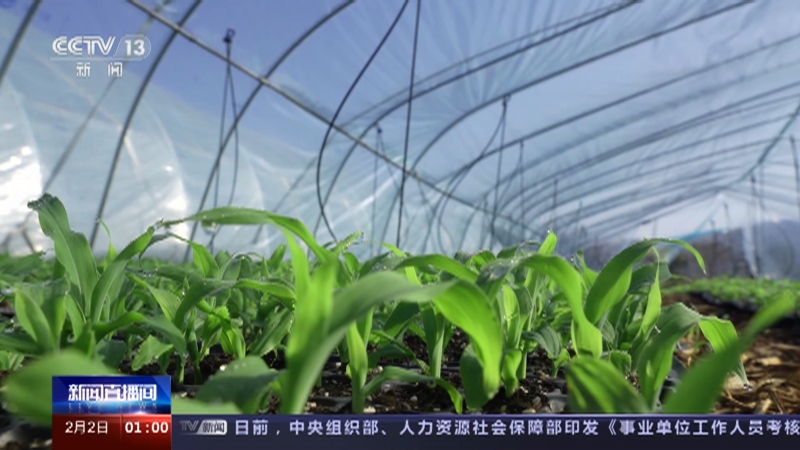 [新闻直播间]各地抢抓农时 做好春耕备耕生产