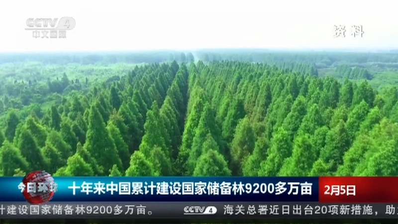 [今日环球]十年来中国累计建设国家储备林9200多万亩