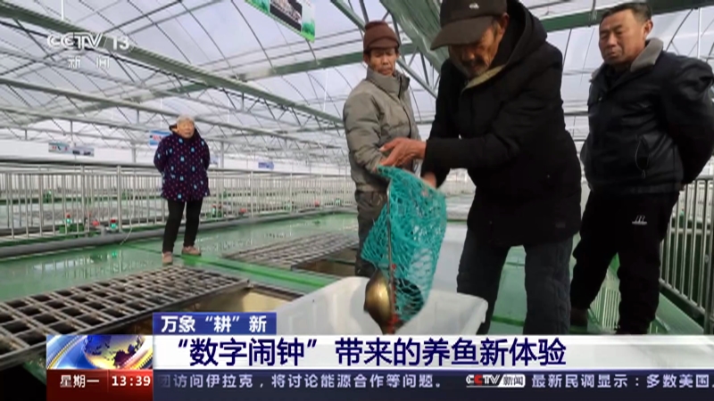 [新闻直播间]万象“耕”新 “数字闹钟”带来的养鱼新体验