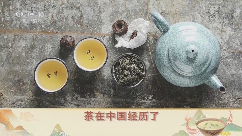 [百家讲坛]舌尖上的历史（第三部） 23 新火试新茶 唐宋人的喝茶技法