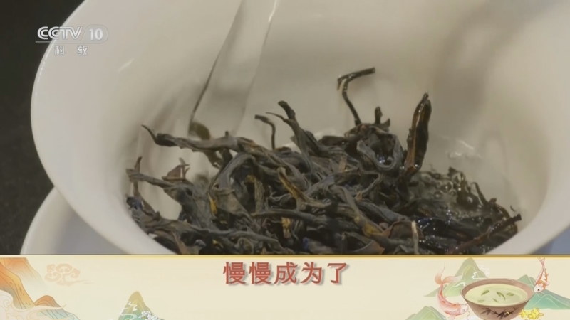 [百家讲坛]舌尖上的历史（第三部） 23 新火试新茶 “茶”“荼”有别