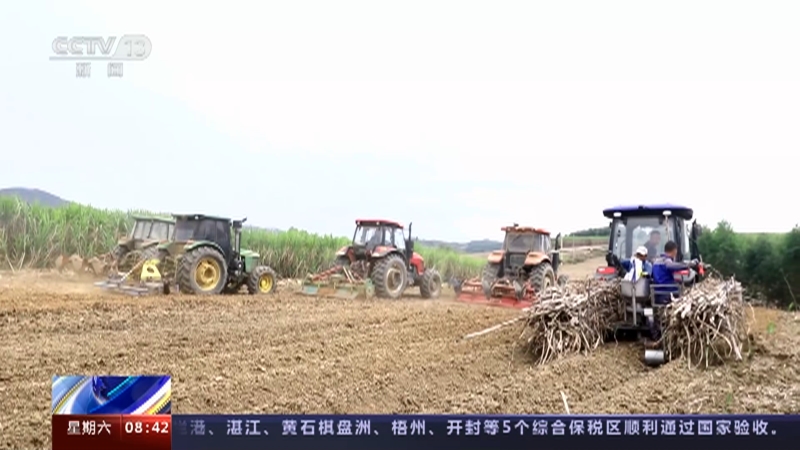 [朝闻天下]广西防城港 机械化率提升 甘蔗耕种省时又省力