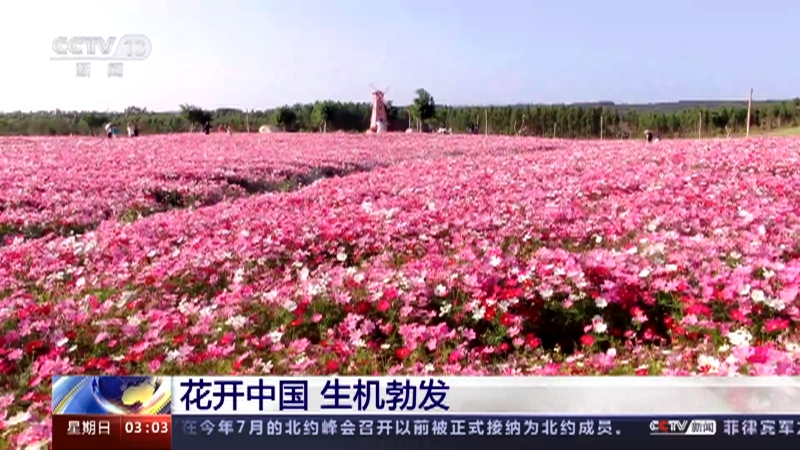 [新闻直播间]花开中国 生机勃发