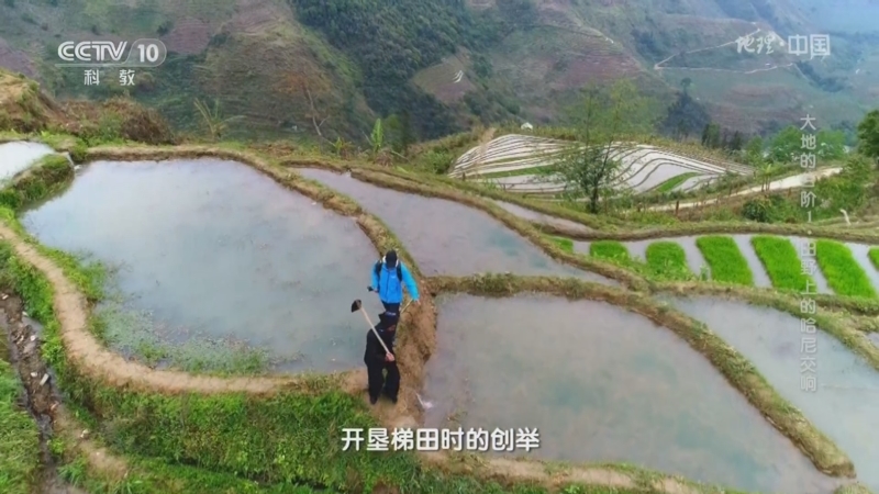 [地理·中国]木刻分水法让大小梯田都能合理灌溉