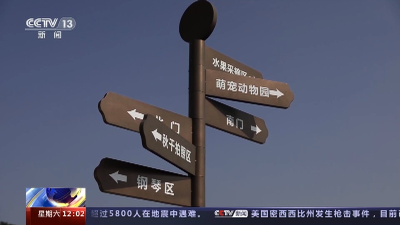 [新闻30分]广州 开局之年 宜居宜业和美乡村怎么建 马岭村：普通小村庄的蜕变之路